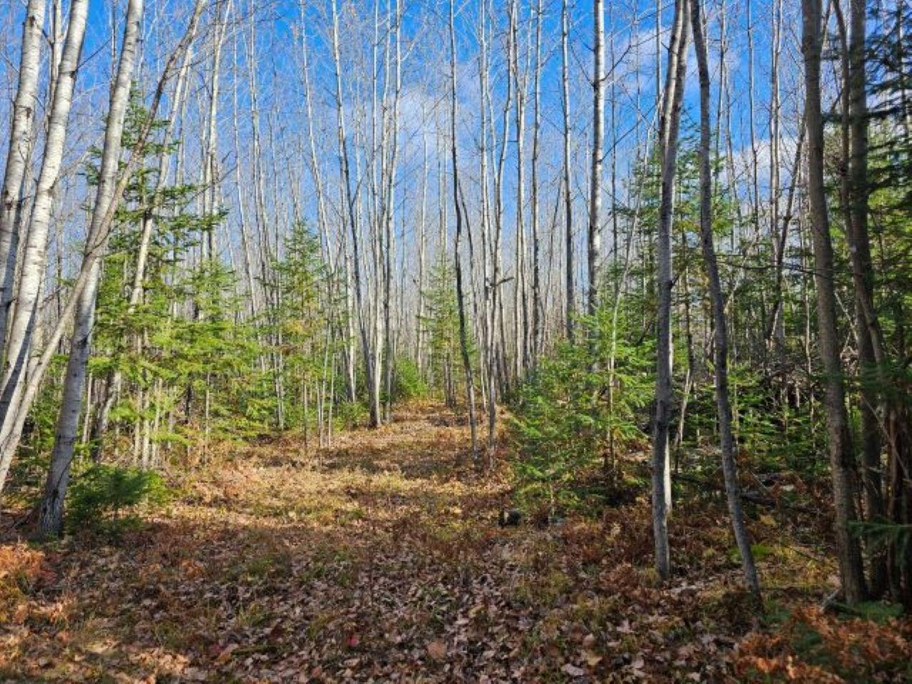 5913 North Adventures Trail Mercer, WI 54547 - Photo 7 of 15 Gallery Image 7