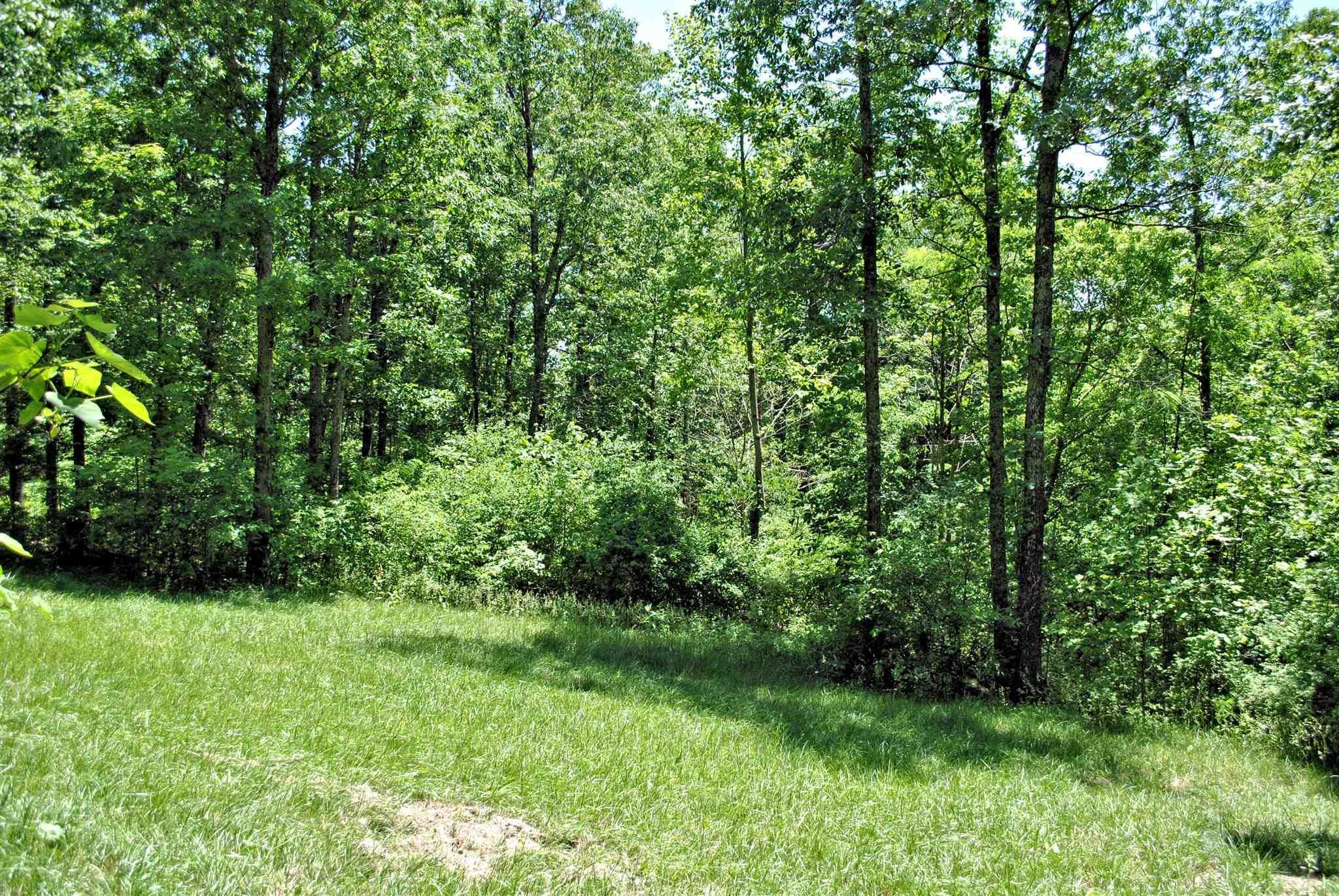 Tbd 6.816-ac Tbd 6.816-ac Hendrickson Road Ripplemead, VA 24150 - Photo 3 of 14 Gallery Image 3