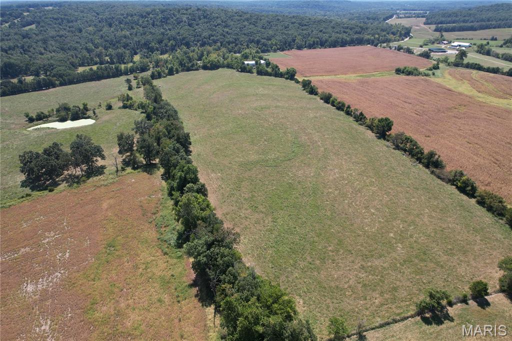 Tbd Rock Creek Road Fredericktown, MO 63645 - Photo 1 of 11 Gallery Image 1