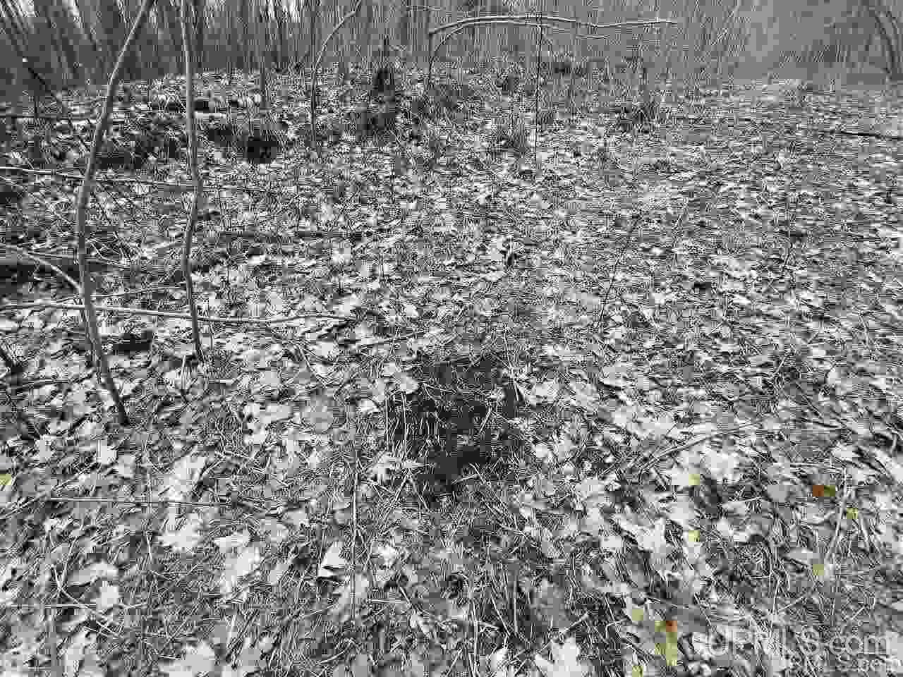 Tbd Plains Cutoff Road Baraga, MI 49908 - Photo 25 of 49