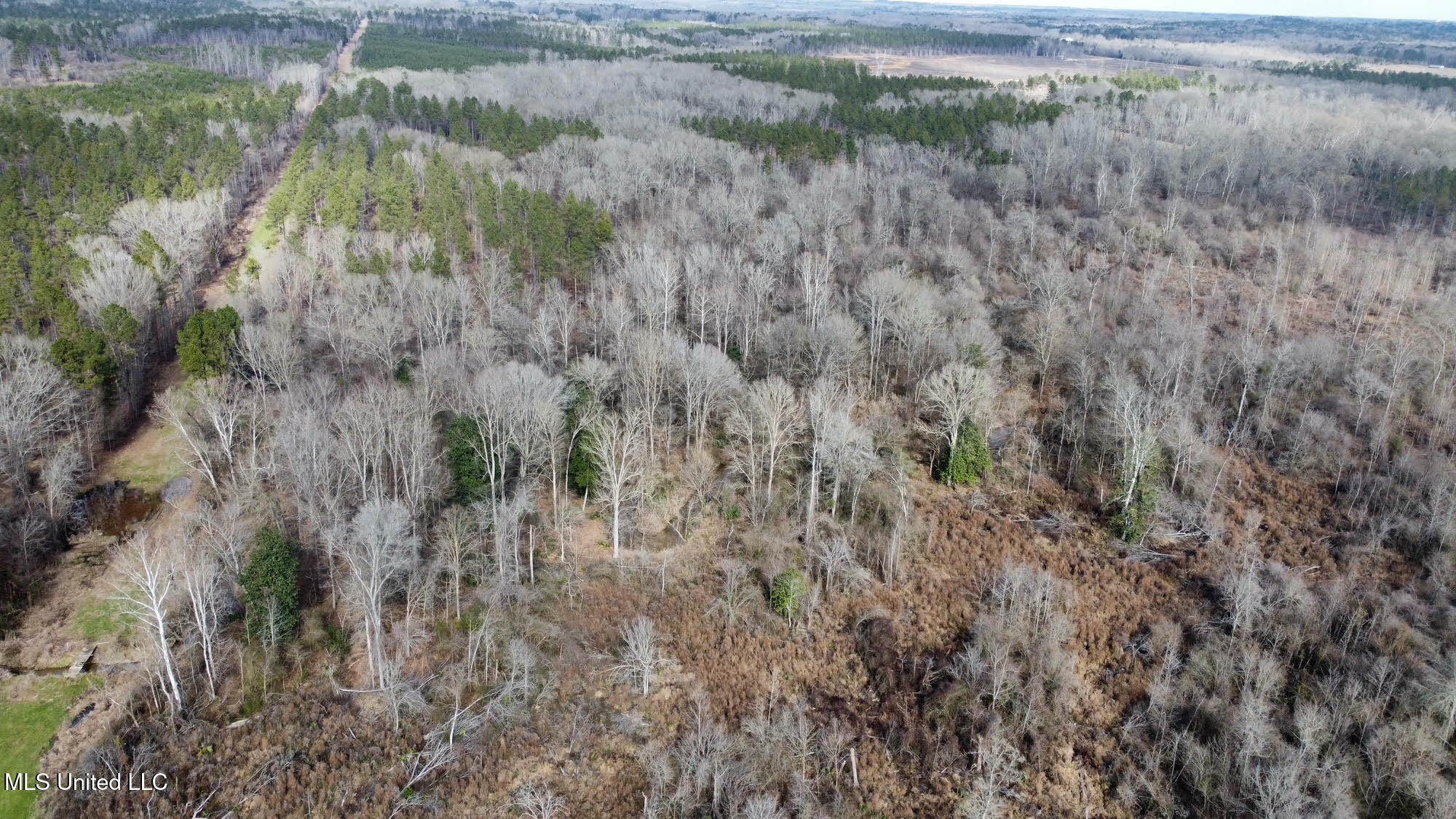 5 Dry Grove Road Terry, MS 39170 - Photo 11 of 53 618