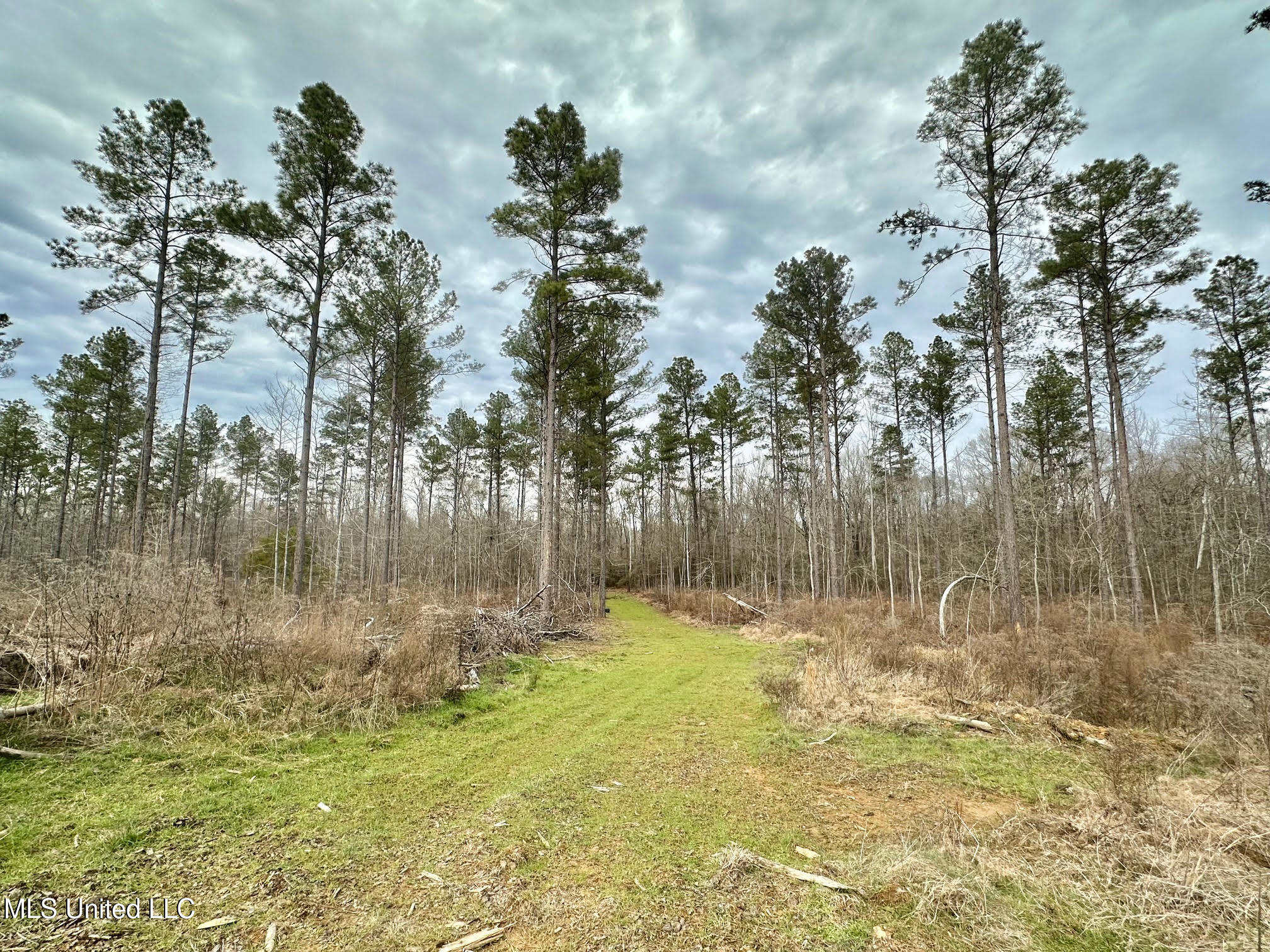 5 Dry Grove Road Terry, MS 39170 - Photo 15 of 53 653
