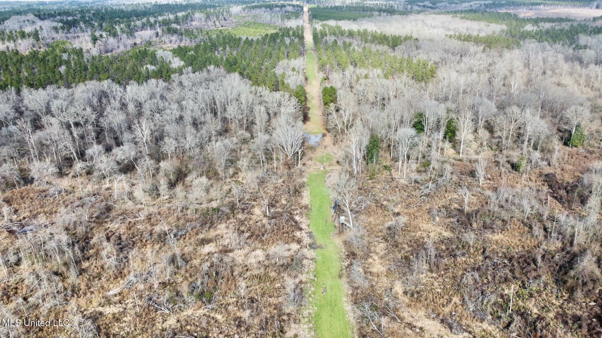 5 Dry Grove Road Terry, MS 39170 - Photo 10 of 53 617