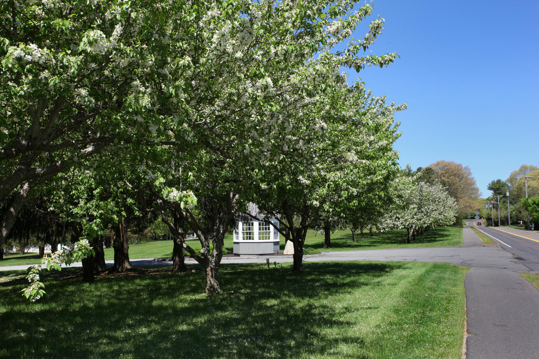81 Farm Valley Road Osterville, MA 02655 - Photo 31 of 35 a big yard with lots of green space and trees