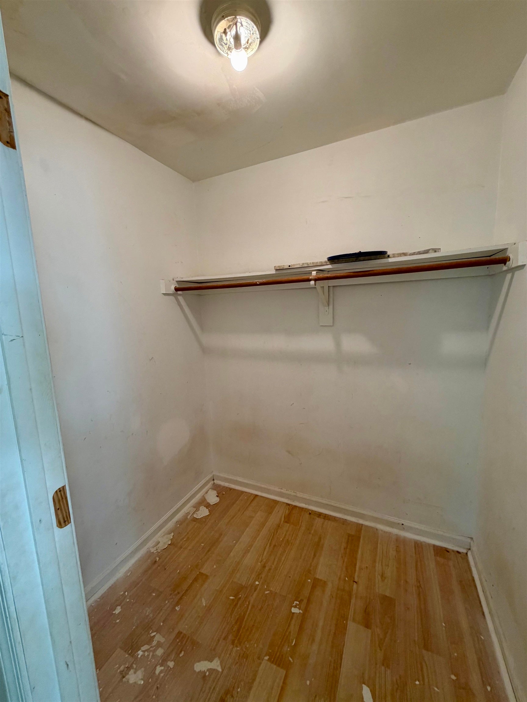 312 Riverside Avenue Charlottesville, VA 22902 - Photo 16 of 24 Gallery Image 16