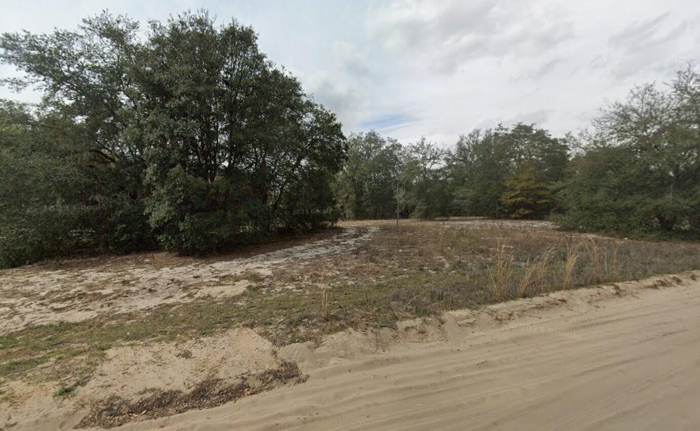 509 Lenore Avenue Interlachen, FL 32148 - Photo 1 of 10 a view of a backyard of a house