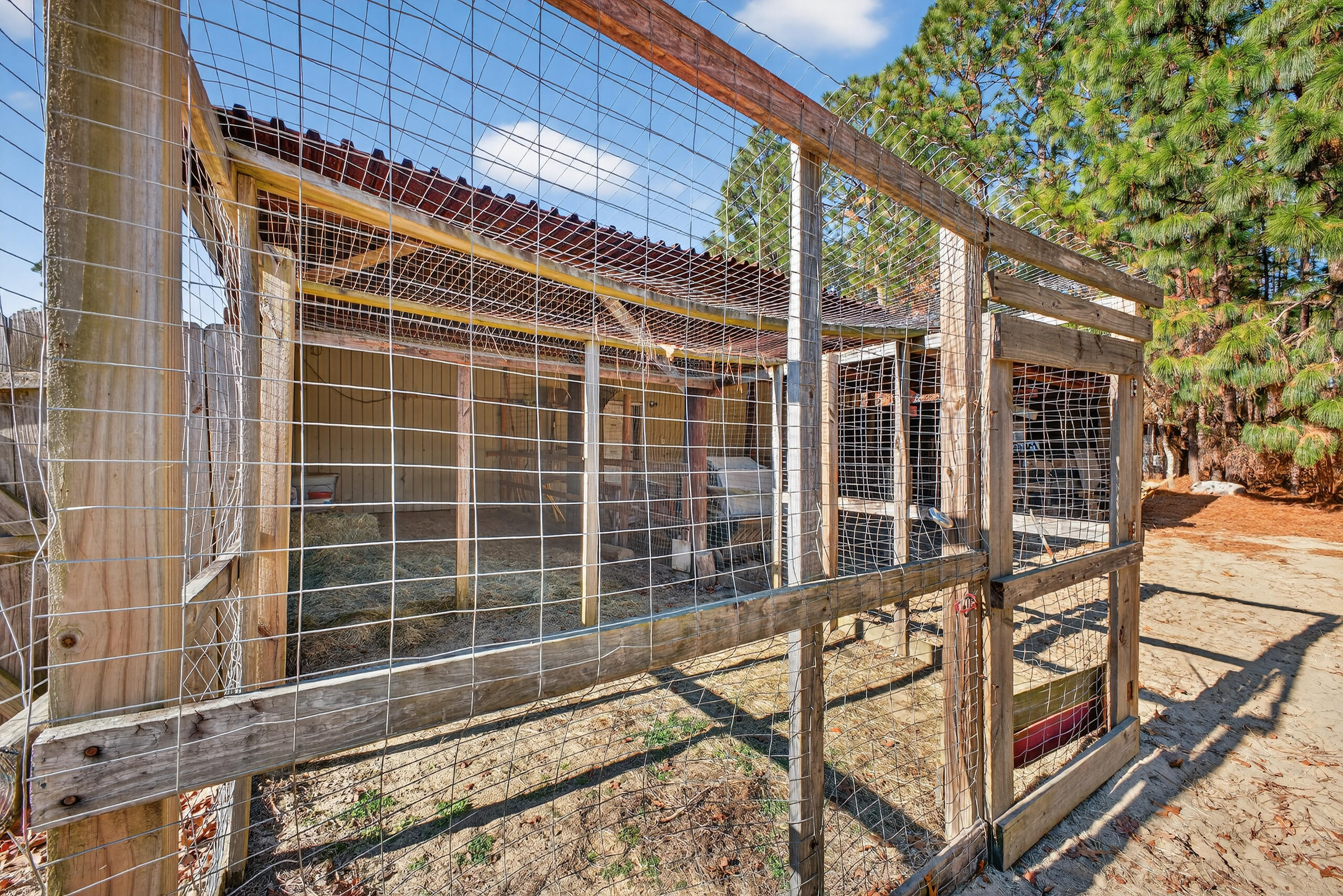 1497 Wire Road Aiken, SC 29805 - Photo 31 of 42 IMG_3251