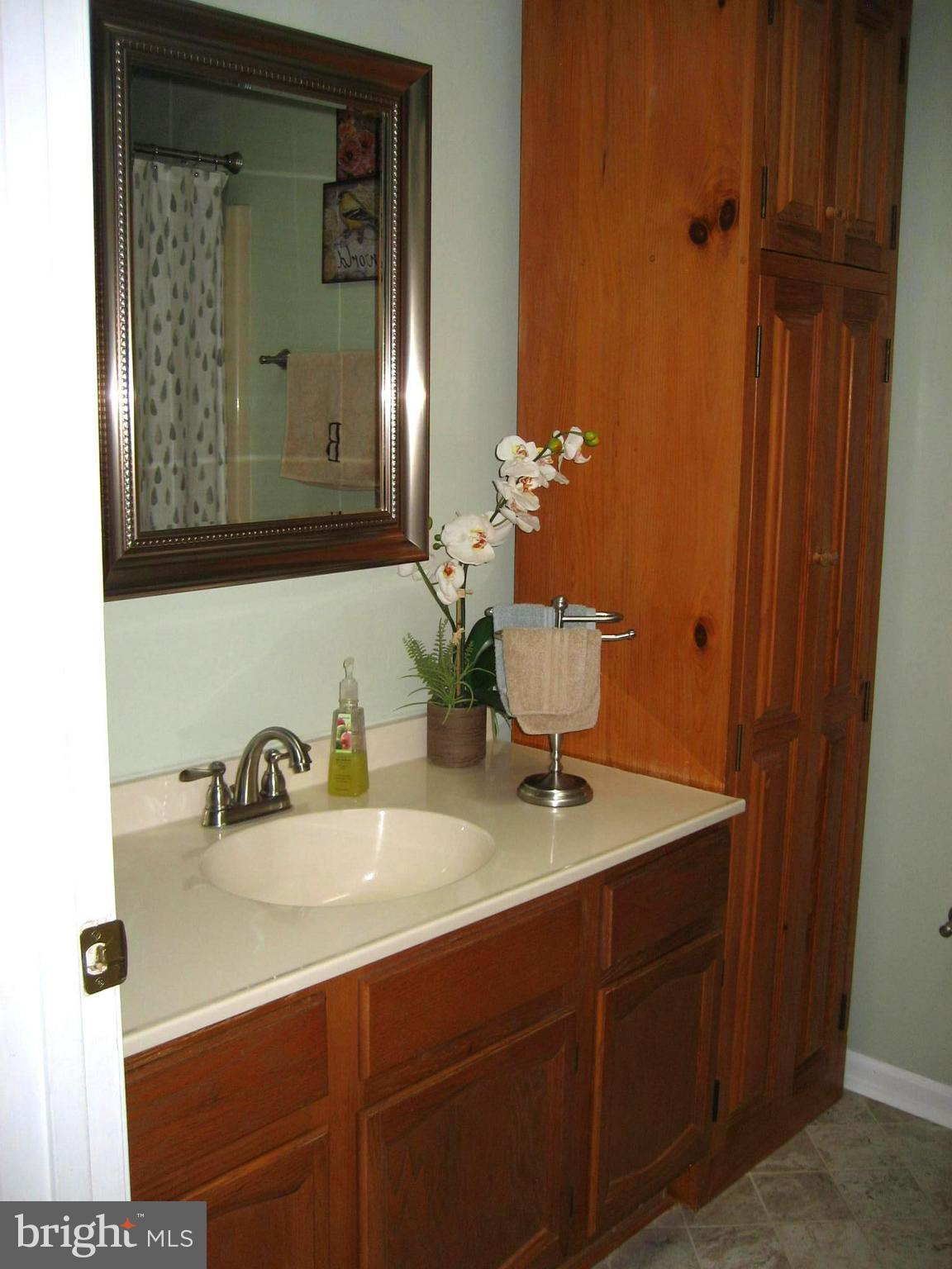 4896 Alesia Lineboro Road Manchester, MD 21102 - Photo 35 of 55 Bath