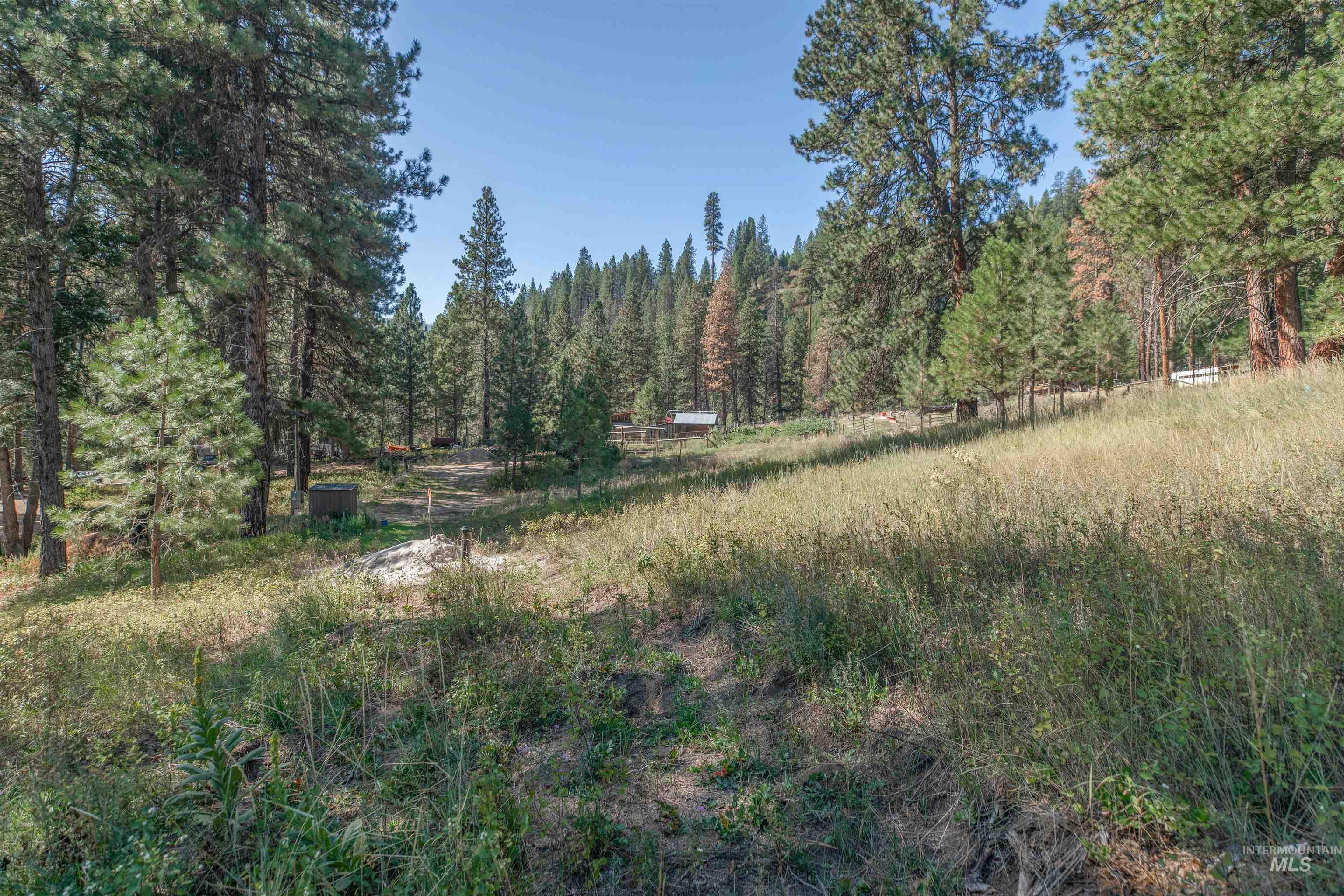 12 Plateau Road Lowman, ID 83637 - Photo 13 of 32 View of wooded area