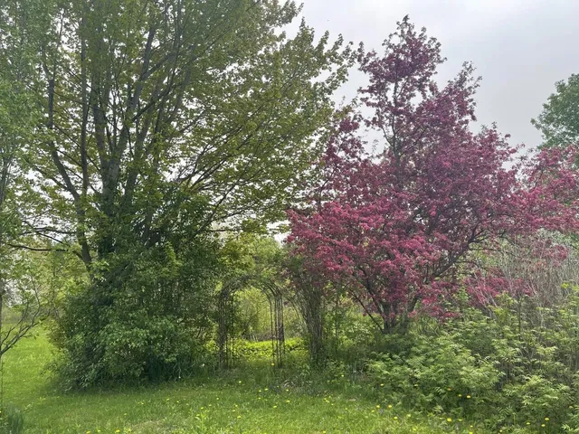 $545,000 | 51 Rainy View Lane, Essex Junction, VT 05452