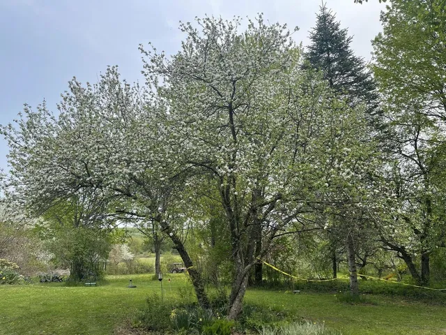 $545,000 | 51 Rainy View Lane, Essex Junction, VT 05452