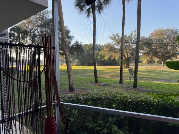 a view of a garden from a window