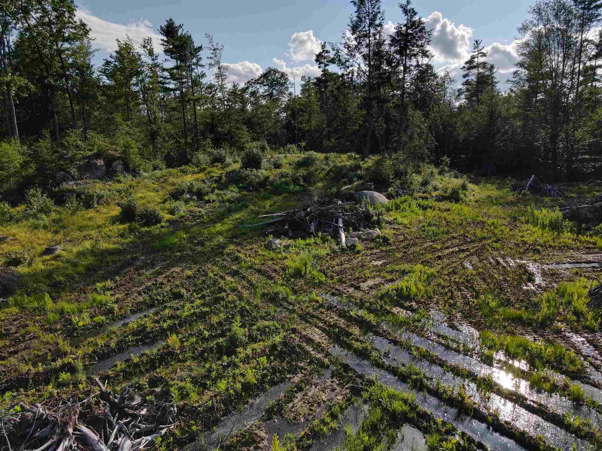 175 Boyds Corner Road South Berwick, ME 03908 - Photo 14 of 17 Gallery Image 14