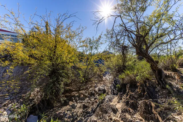 a view of a field with an ocean view