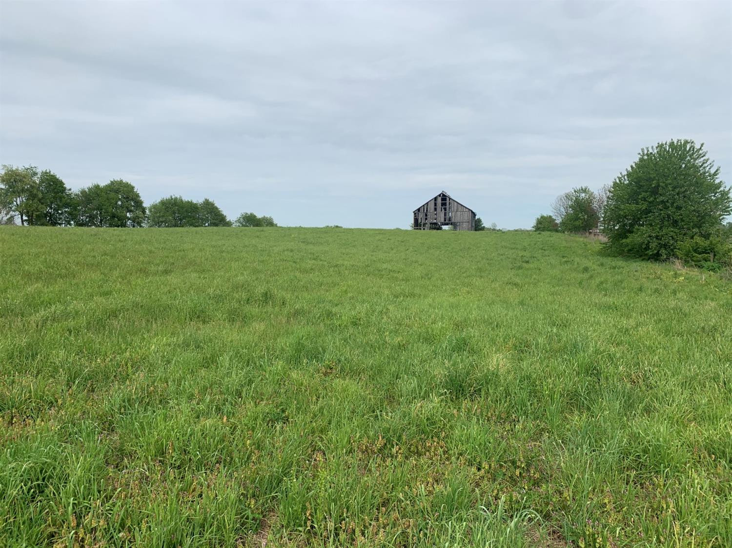 847 Hutchison Road Paris, KY 40361 - Photo 2 of 8 Photo 2