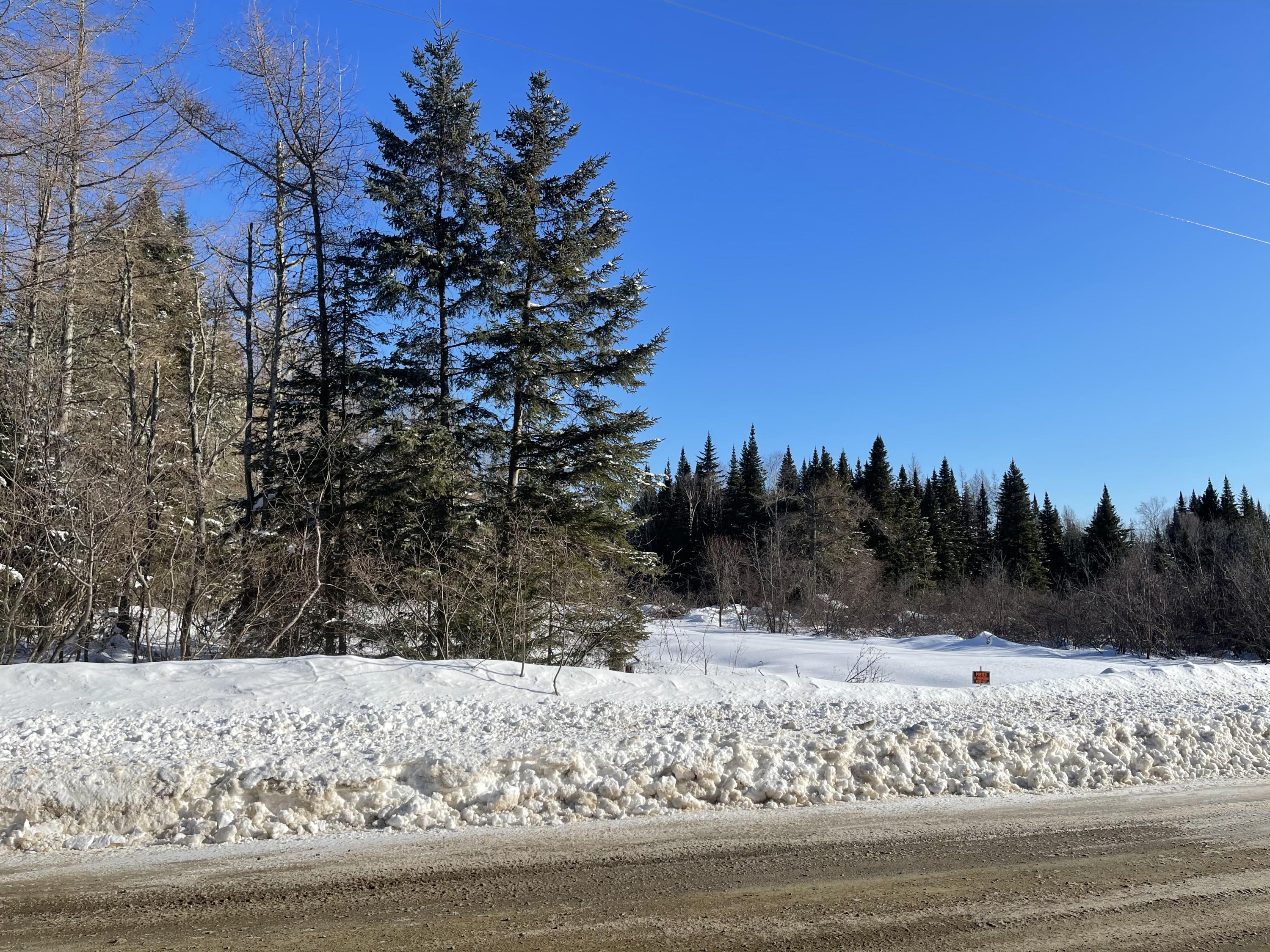Mp2-lot19 Mahany Road Easton, ME 04740 - Photo 5 of 12 IMG_1361