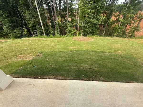 a view of a field with an trees