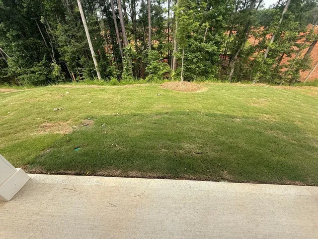 a view of a field with an trees