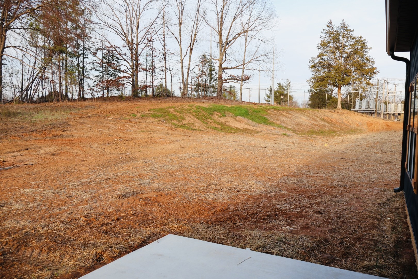 62 Hall Street Lexington, TN 38351 - Photo 8 of 48 a view of road and yard