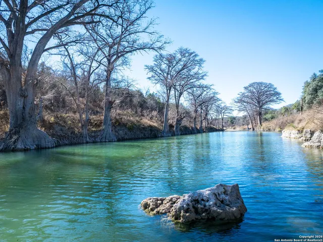 a view of lake view with tree