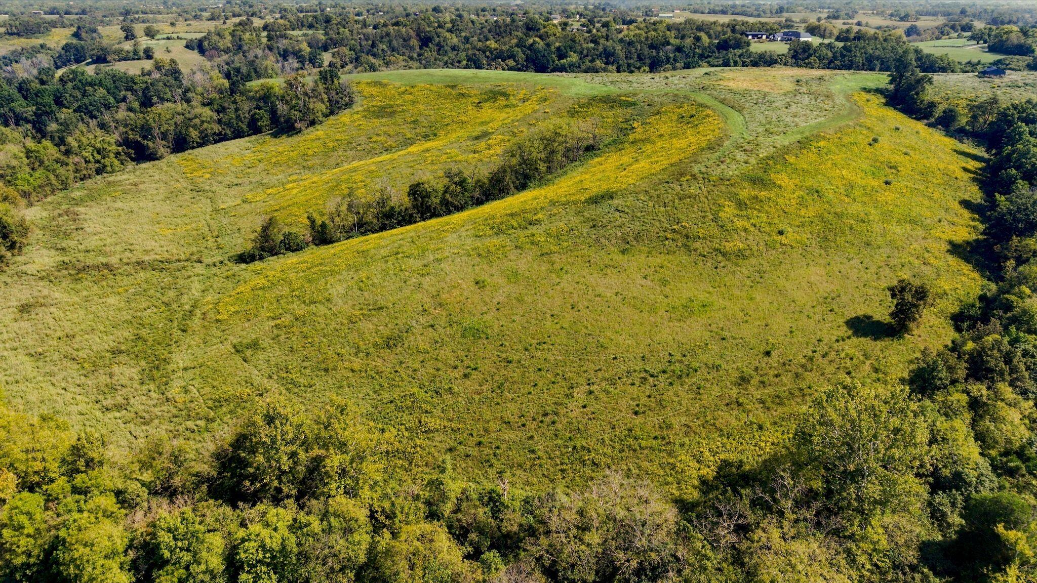 3719 Kirksville Road Lancaster, KY 40444 - Photo 22 of 28 3719KirkswilleDrone-014