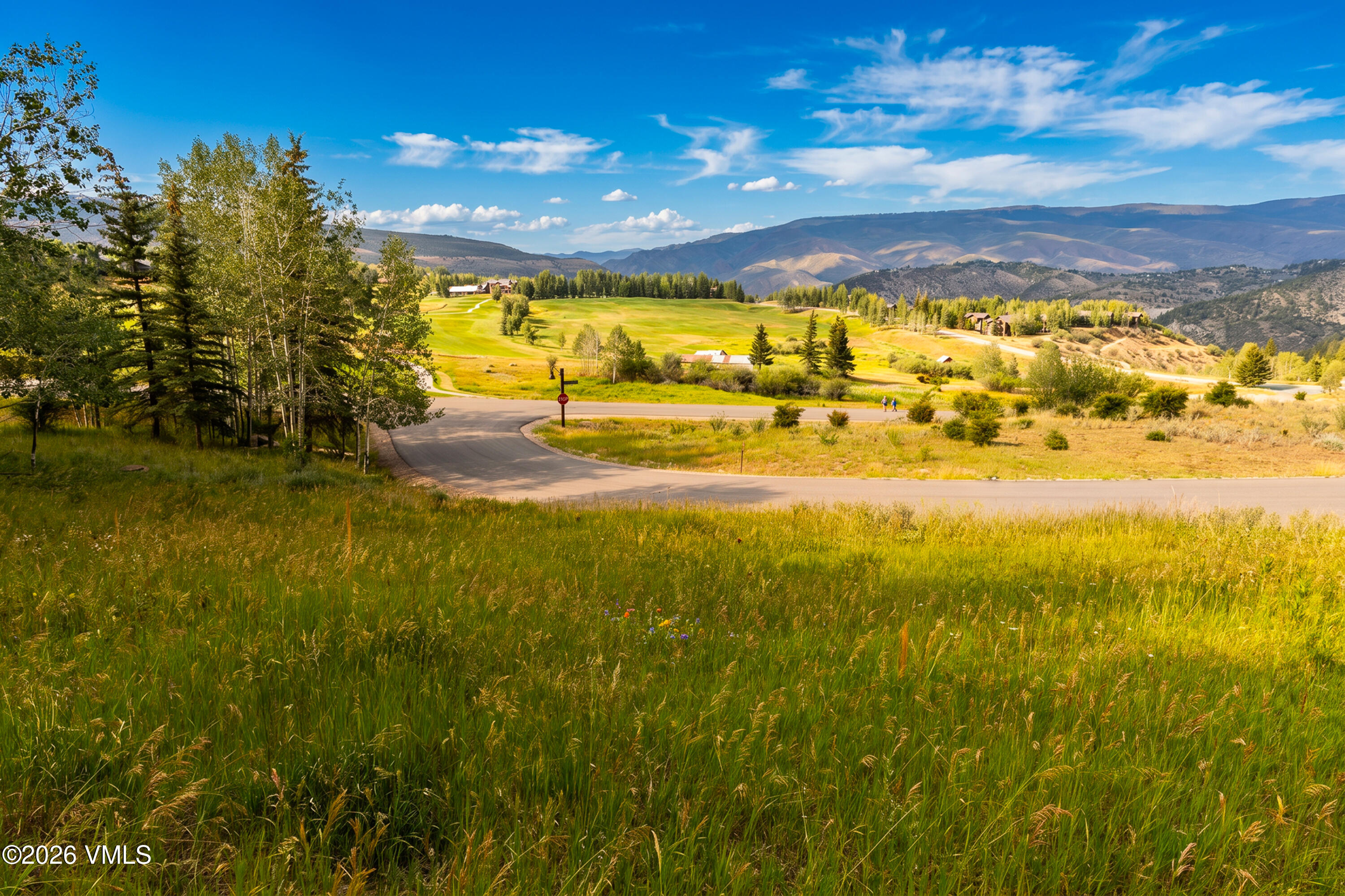 121 Elk Spring Trail Edwards, CO 81632 - Photo 21 of 26 Day View