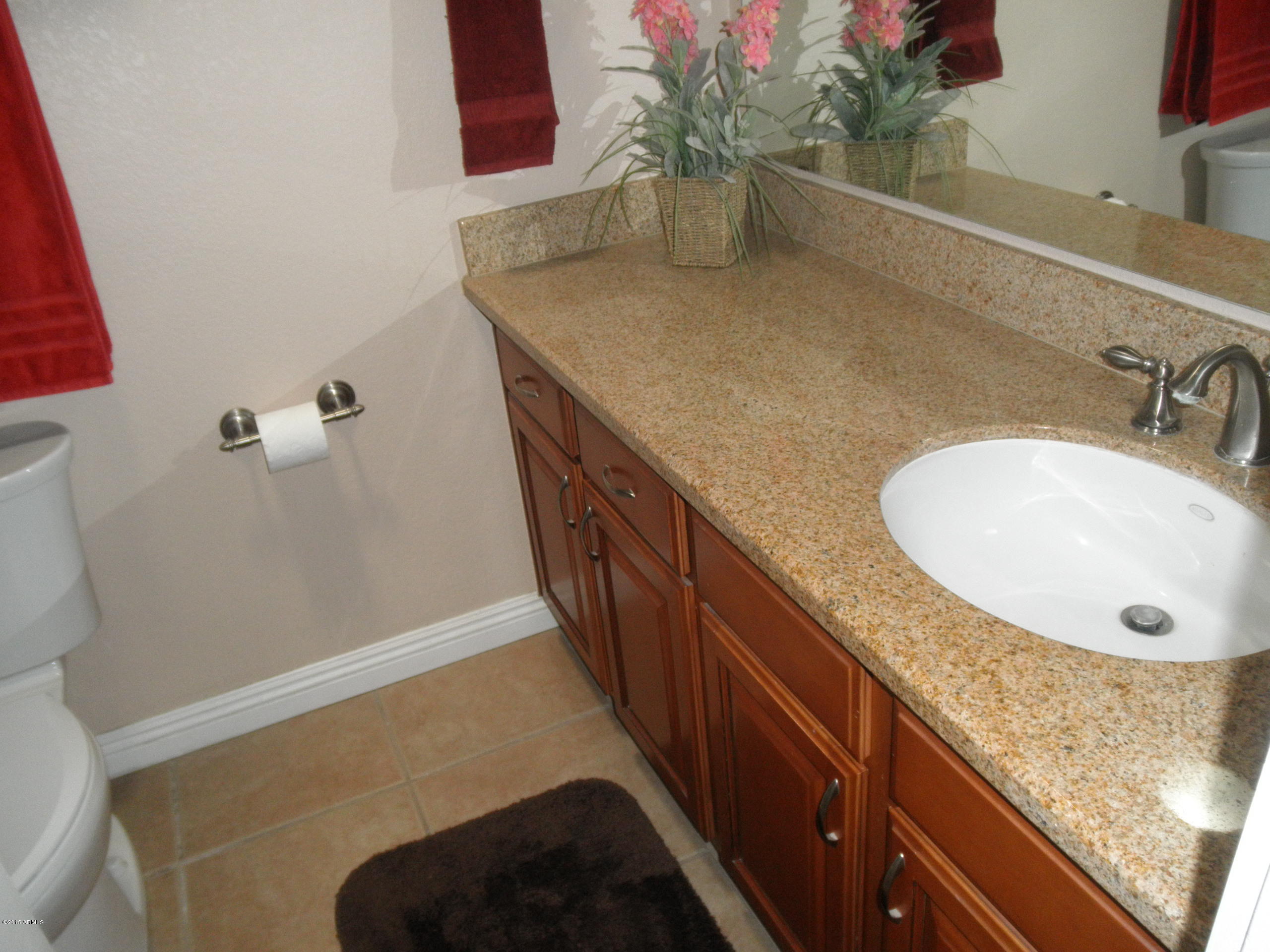 4301 East Frye Road Phoenix, AZ 85048 - Photo 11 of 17 2nd bath
