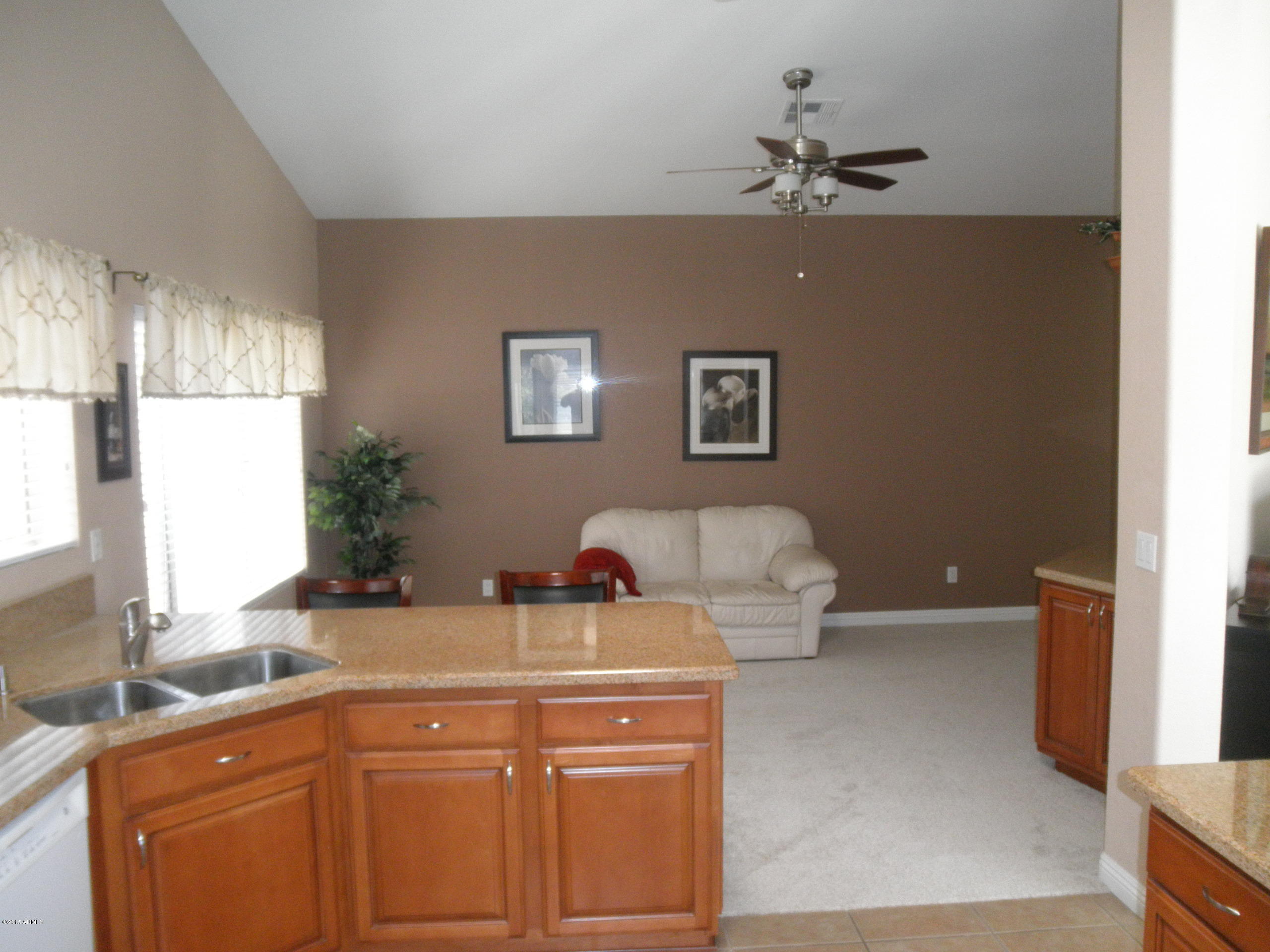 4301 East Frye Road Phoenix, AZ 85048 - Photo 4 of 17 Kitchen