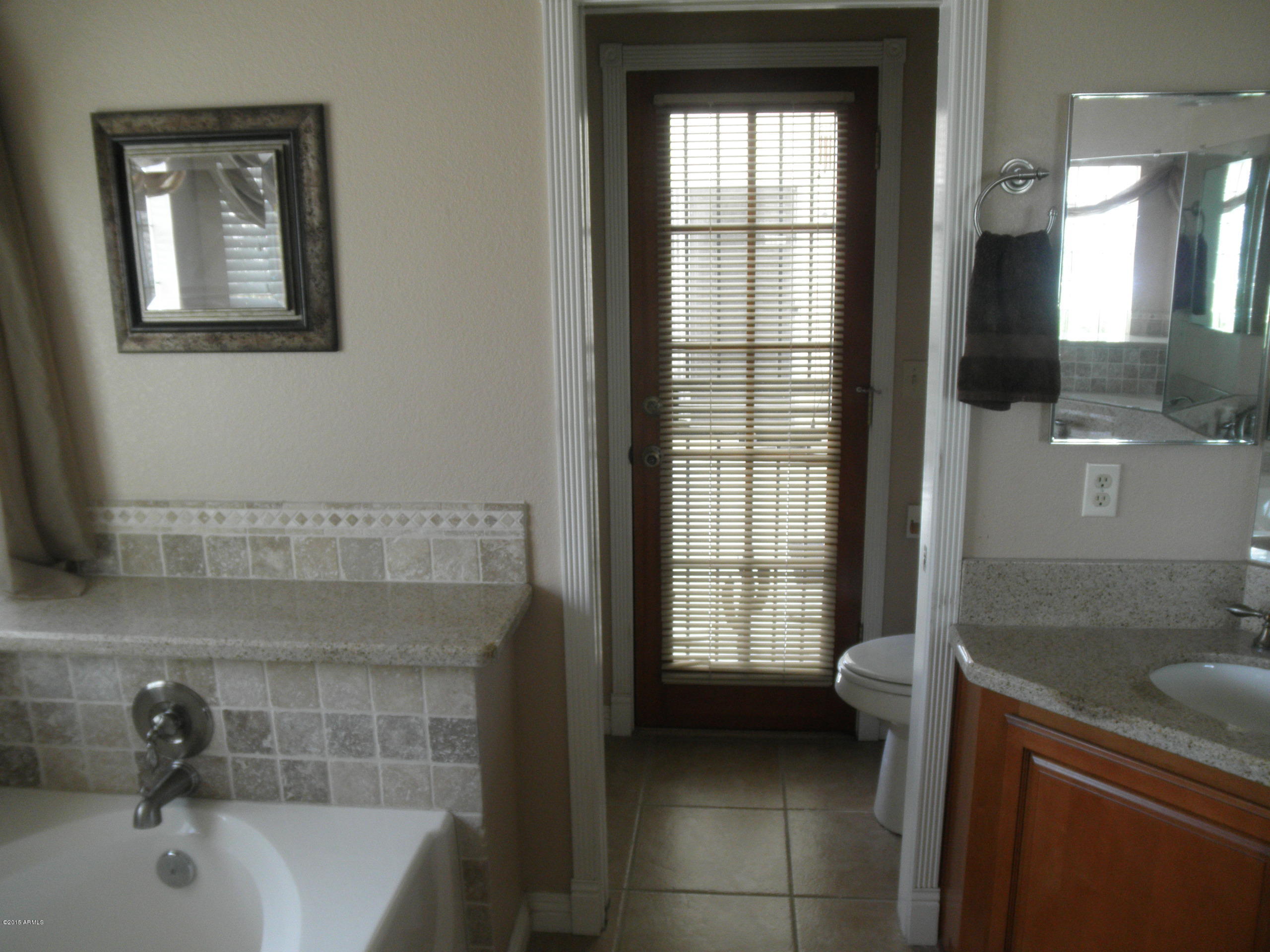 4301 East Frye Road Phoenix, AZ 85048 - Photo 9 of 17 Master bath