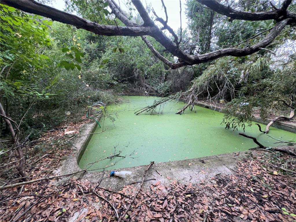 12706 North 53rd Street Temple Terrace, FL 33617 - Photo 2 of 4 a view of a yard with a tree