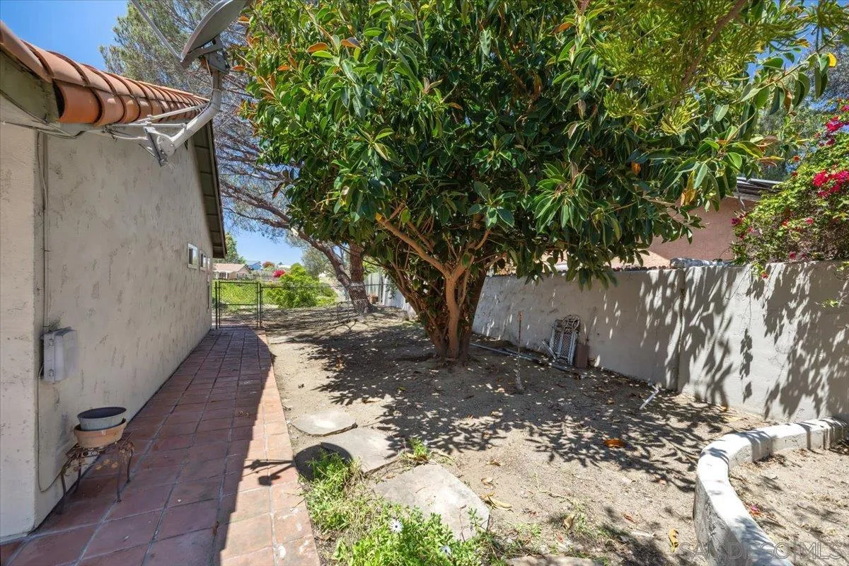 3316 Del Charro Road Jamul, CA 91935 - Photo 40 of 45 a backyard of a house with large trees and a wooden fence
