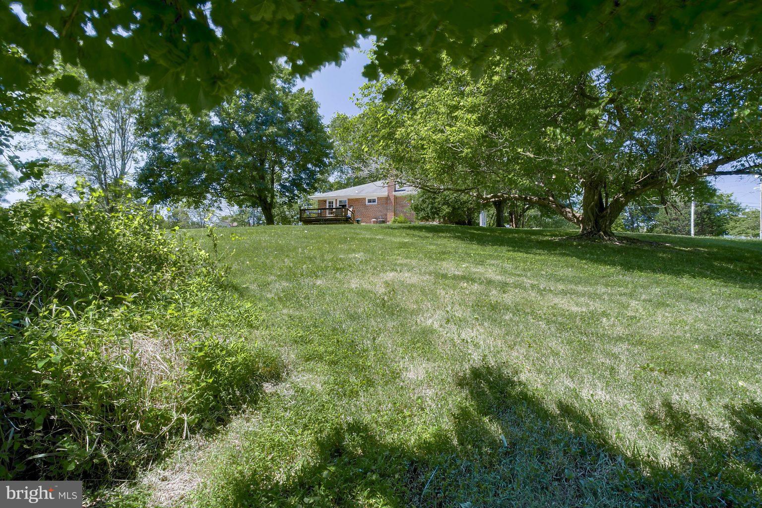 8414 Dogwood Road Baltimore, MD 21244 - Photo 27 of 29 a backyard of a house with plants and large trees