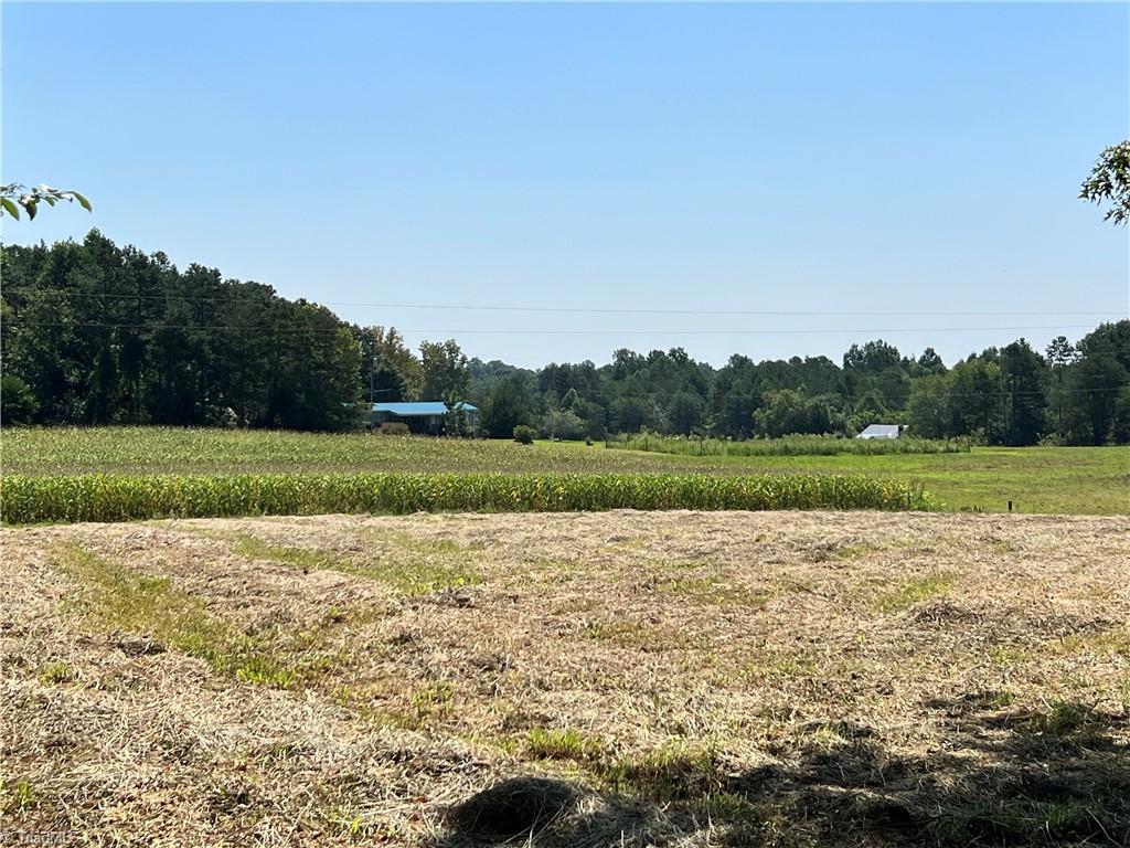 1.8-ac Somers Road Union Grove, NC 28689 - Photo 6 of 23 Gallery Image 6