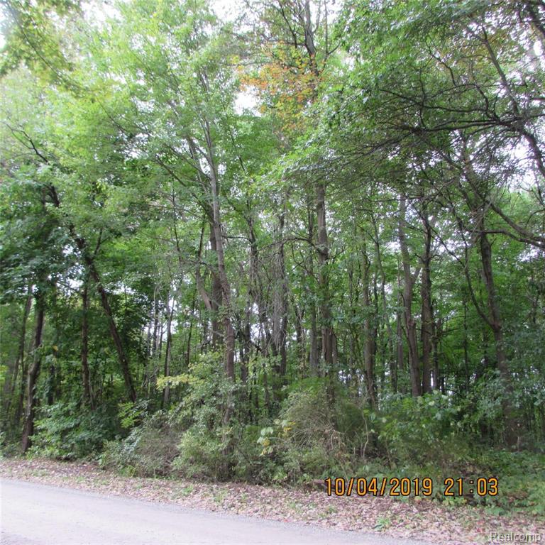 Vacant Fessner Road Carleton, MI 48117 - Photo 8 of 8 Gallery Image 8