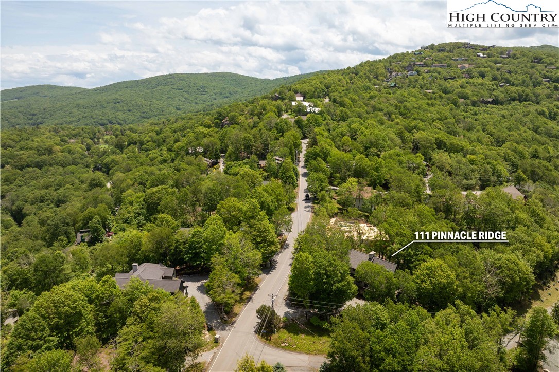 111 Pinnacle Ridge Road Beech Mountain, NC 28604 - Photo 48 of 50 a view of a field