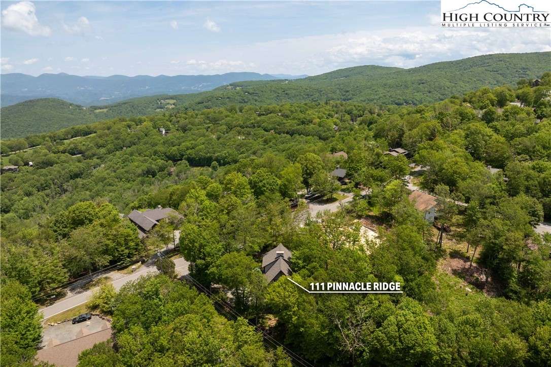 111 Pinnacle Ridge Road Beech Mountain, NC 28604 - Photo 49 of 50 a view of a field with a mountain in the background