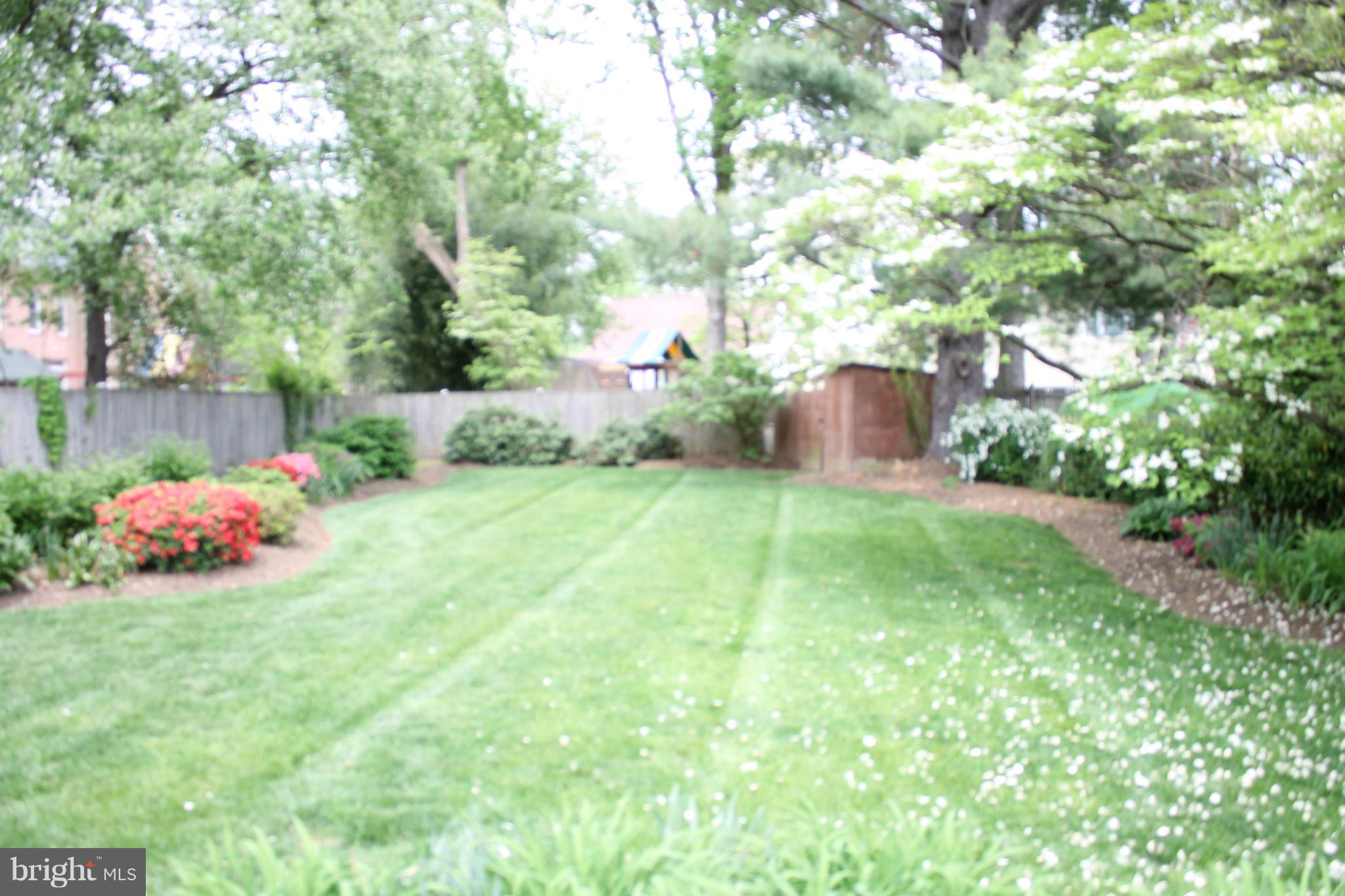 6328 Halsey Road McLean, VA 22101 - Photo 3 of 30 Exterior (Rear)