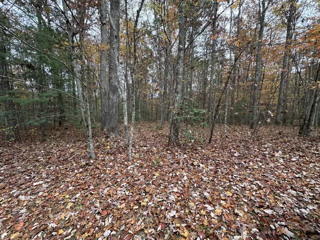 a view of a large yard with lots of green space