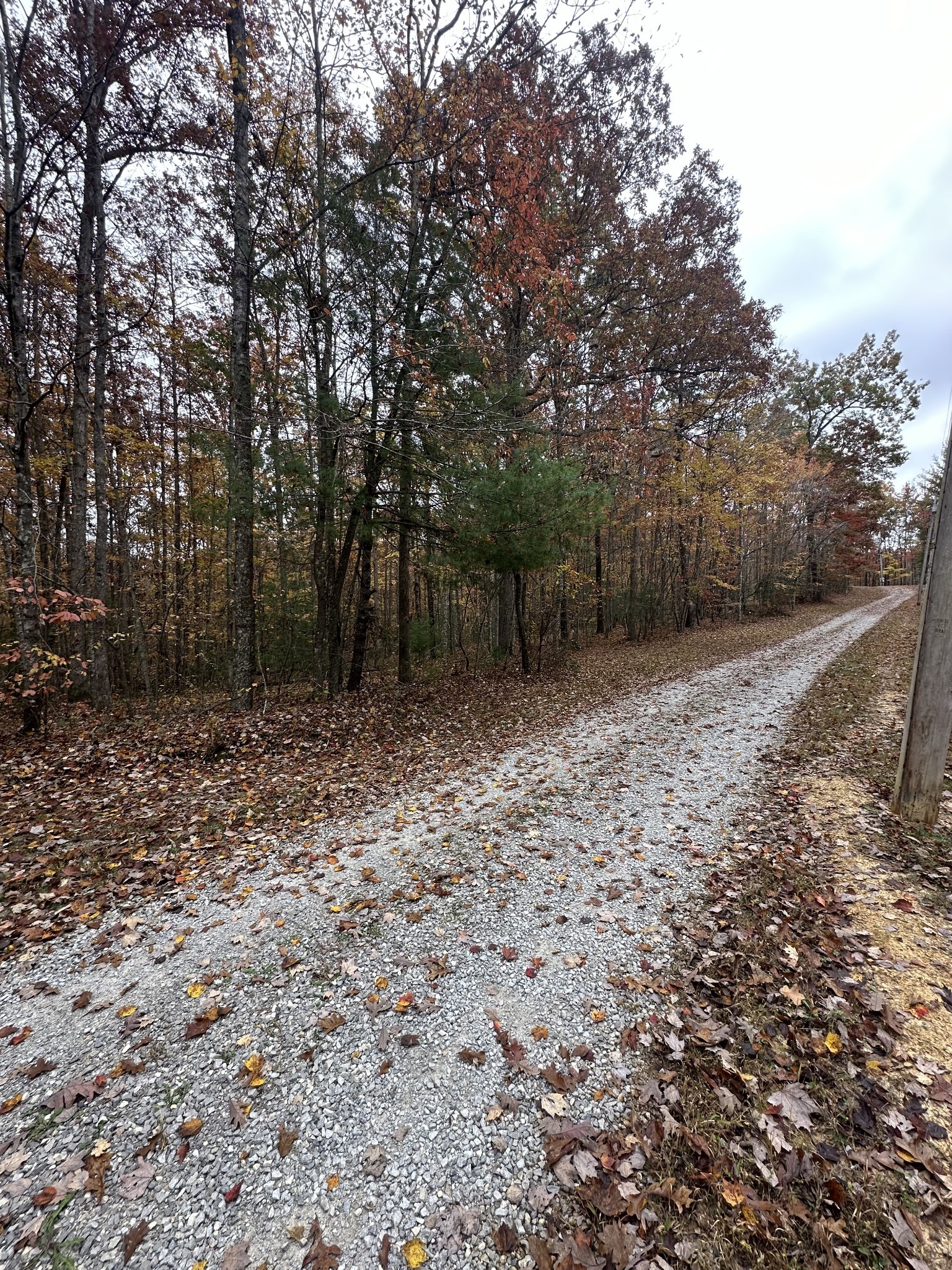 0 Wilderness Trail Oneida, TN 37841 - Photo 24 of 28