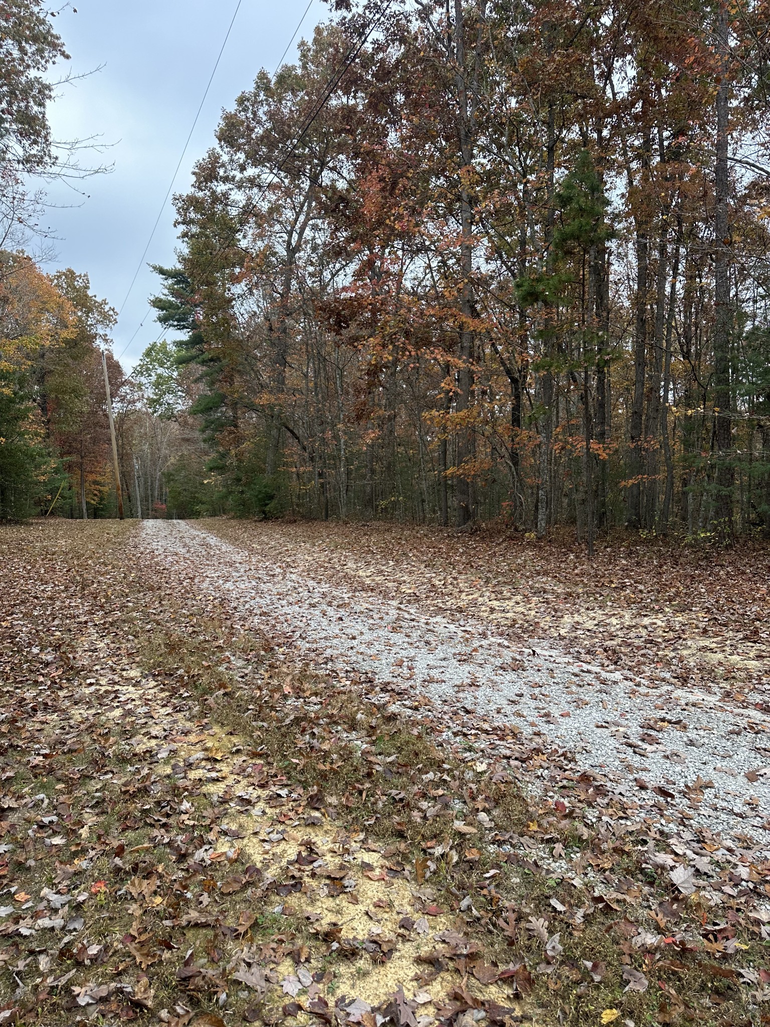 0 Wilderness Trail Oneida, TN 37841 - Photo 26 of 28