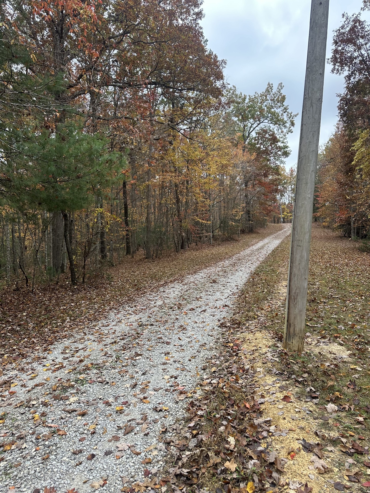 0 Wilderness Trail Oneida, TN 37841 - Photo 4 of 28