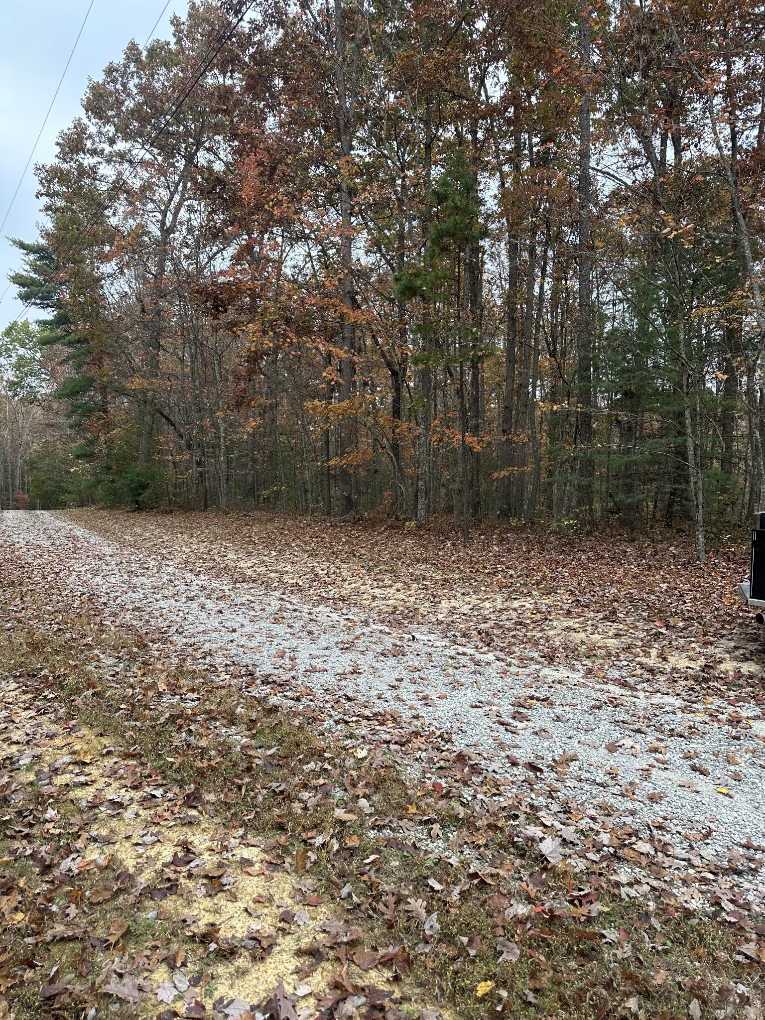 0 Wilderness Trail Oneida, TN 37841 - Photo 5 of 28