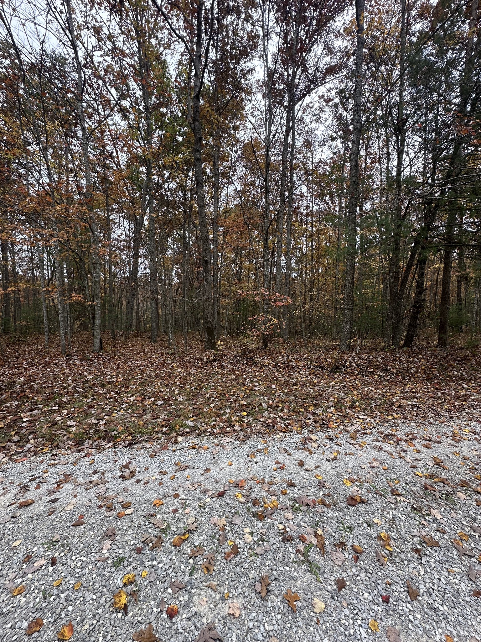 0 Wilderness Trail Oneida, TN 37841 - Photo 7 of 28