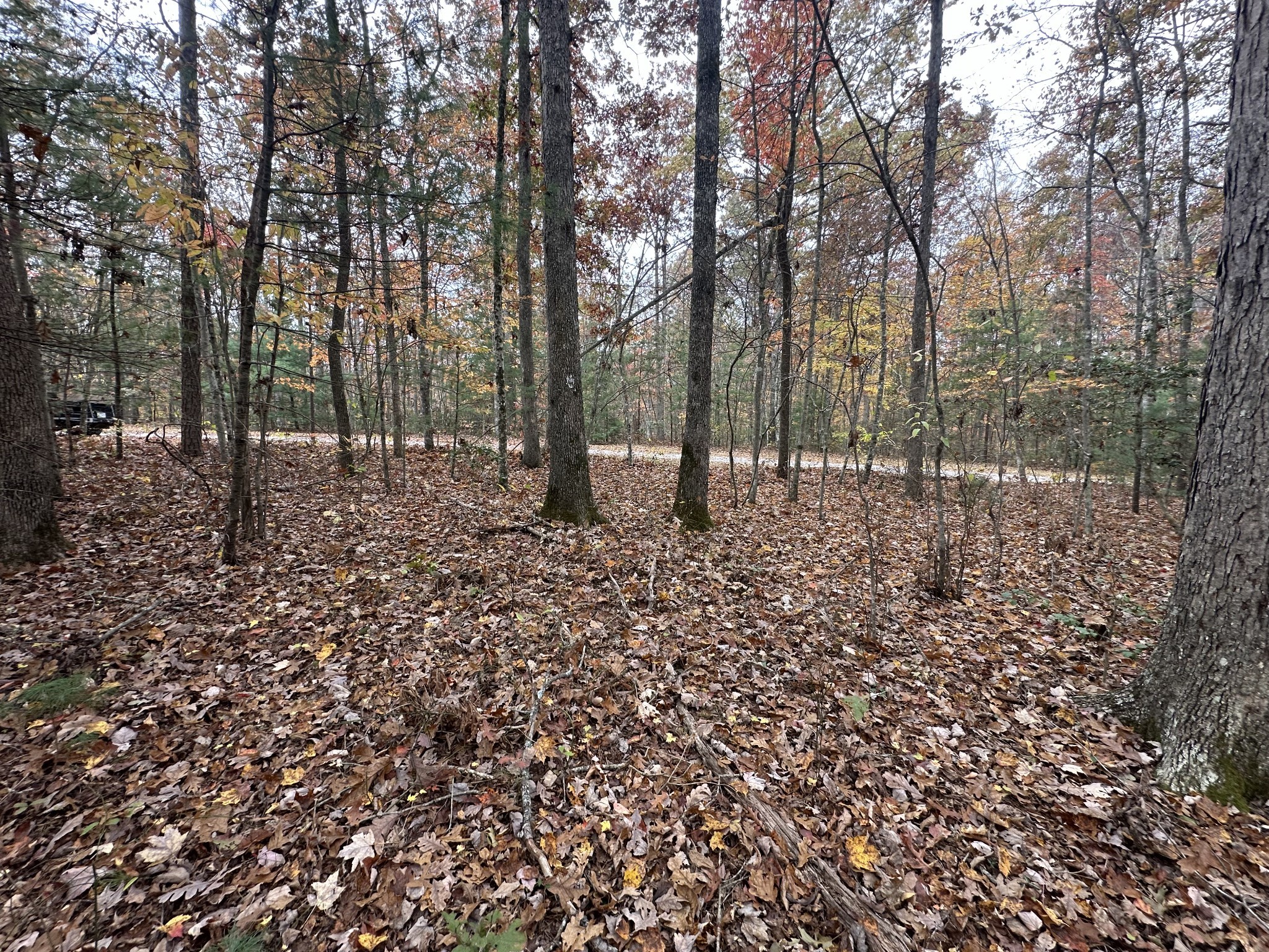 0 Wilderness Trail Oneida, TN 37841 - Photo 8 of 28