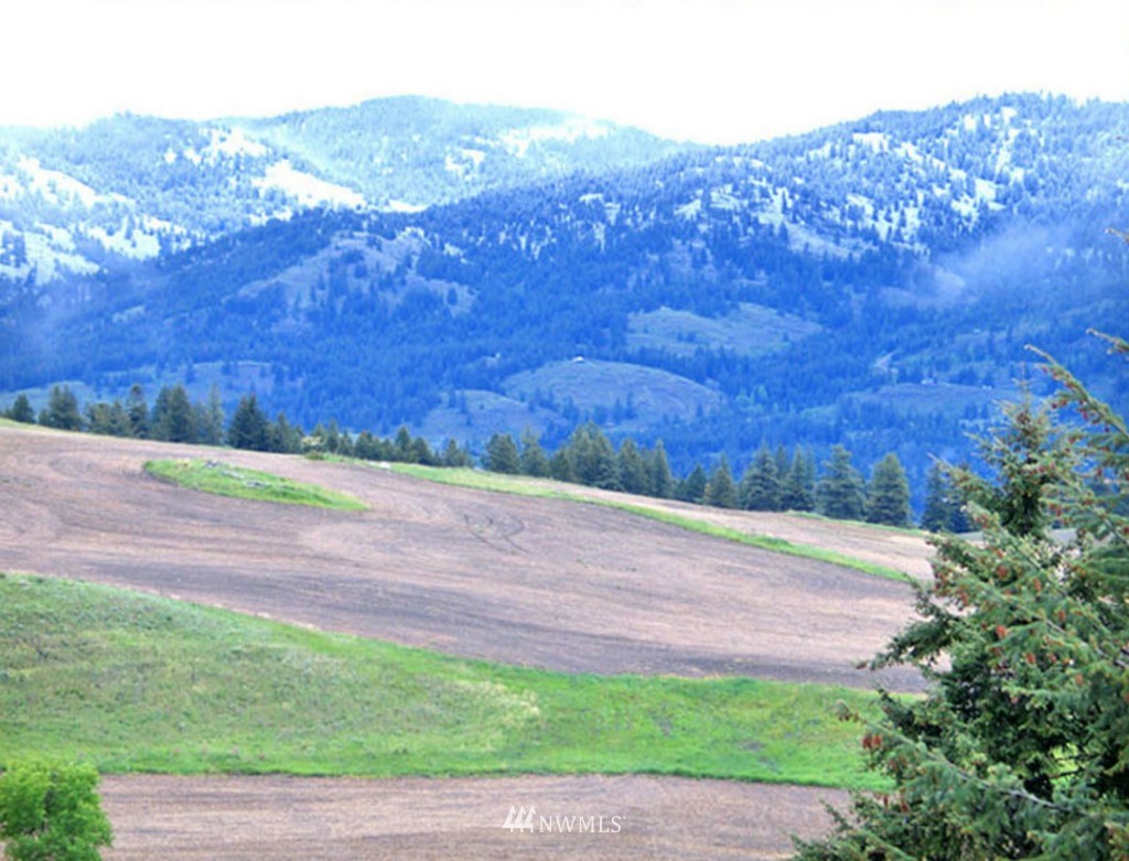 545 Nealey Road Oroville, WA 98844 - Photo 18 of 20 Gallery Image 18