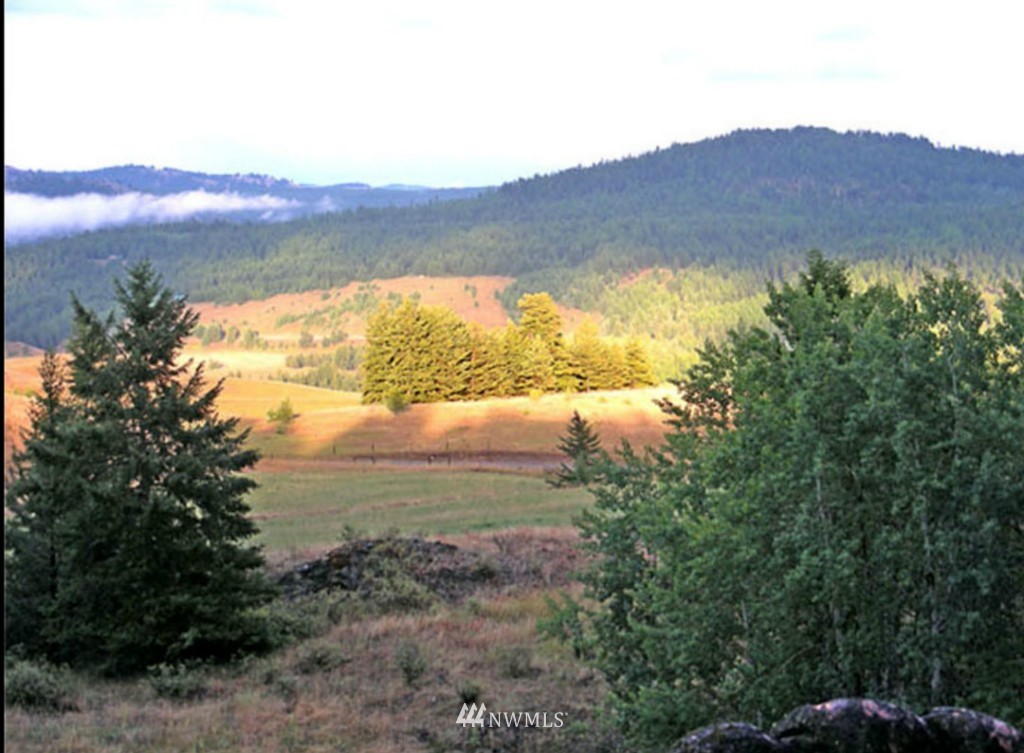 545 Nealey Road Oroville, WA 98844 - Photo 19 of 20 Gallery Image 19