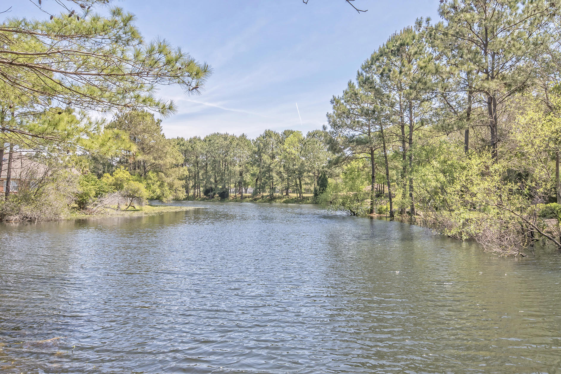 3020 Linksland Road Mount Pleasant, SC 29466 - Photo 33 of 36 DSC_4622