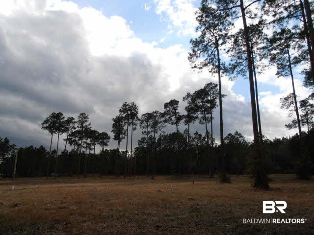 29409 Archie Road Elberta, AL 36530 - Photo 20 of 20 Wooded boundary