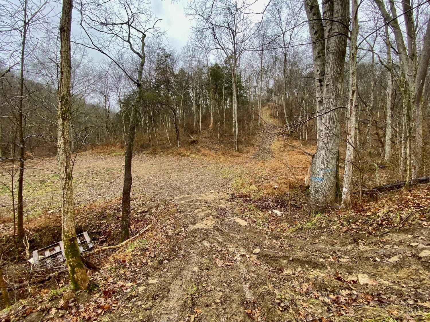 1334 Roush Hill Road Manchester, OH 45144 - Photo 16 of 22
