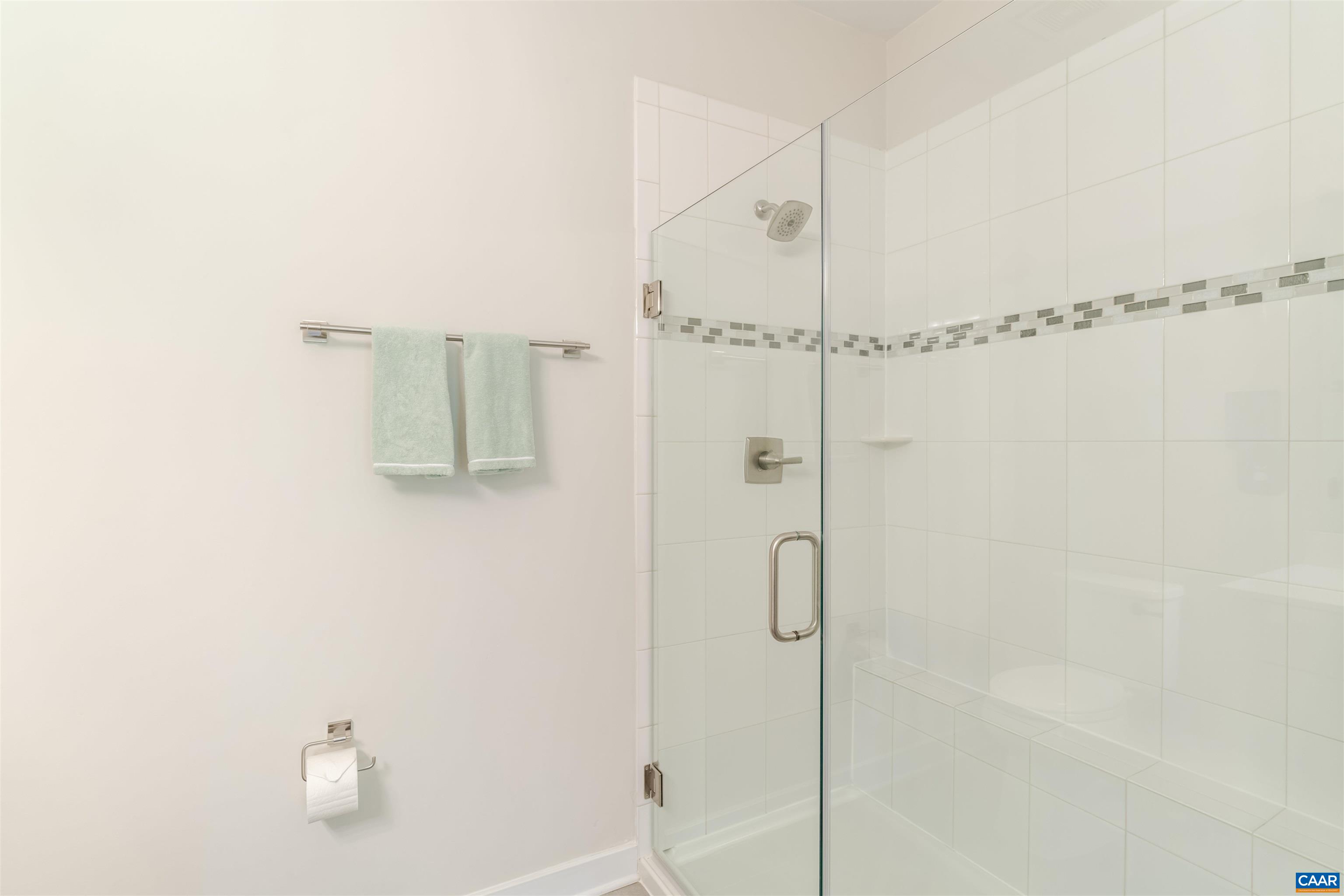 359 Winding Road Keswick, VA 22947 - Photo 19 of 56 Primary Shower